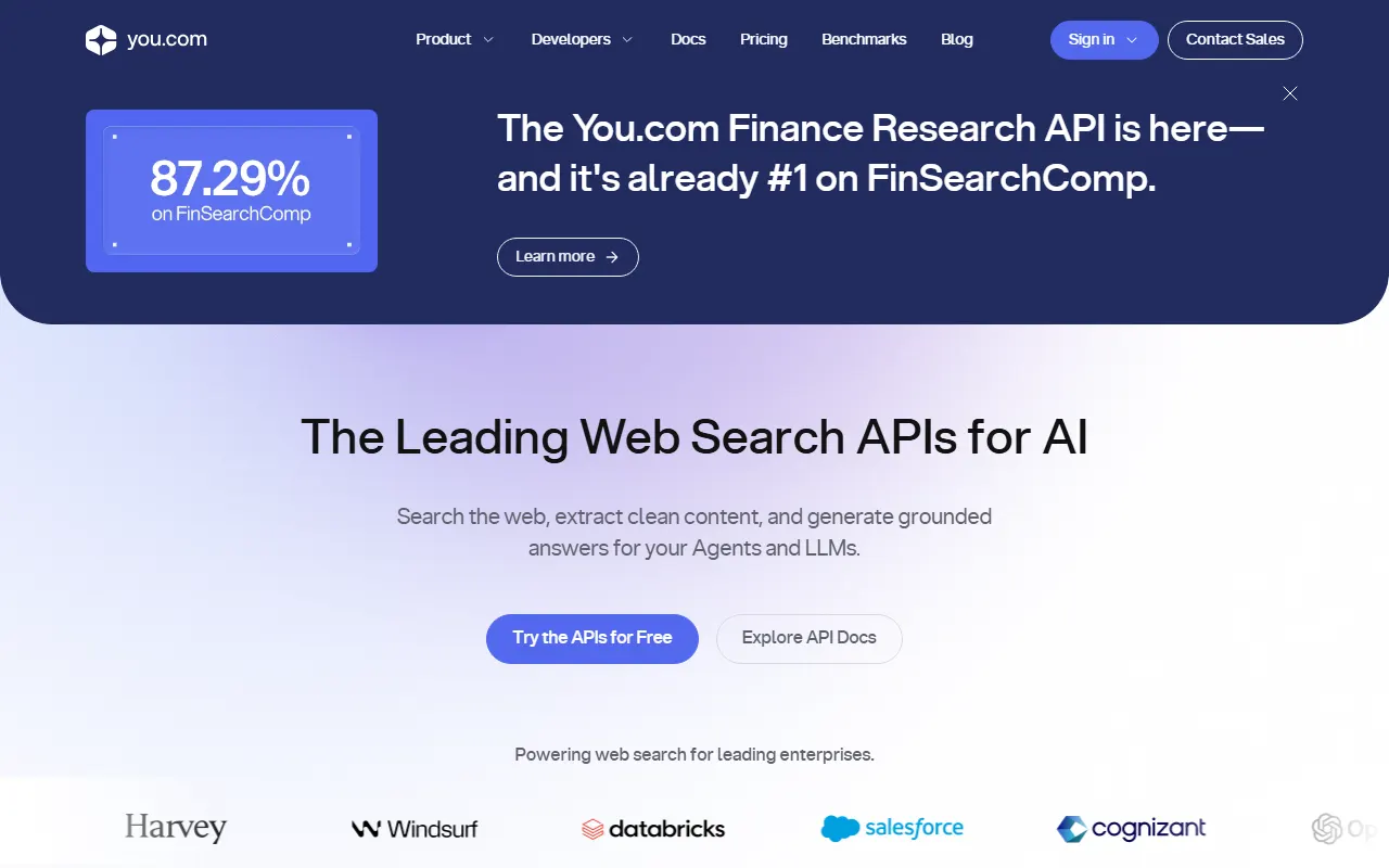 You.com AI tool interface screenshot